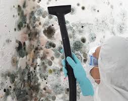 Why You Should Choose Our Mold Remediation Services in Ellwood City, PA